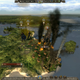 Image for article titled Oh Hey, A Total War Game That Isn't Broken